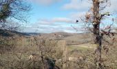 Tour Wandern Salviac - 19,9km dans le Quercy  - Photo 10