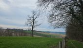 Tour Wandern Voerendaal - Ubachsberg  - Photo 14