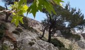Percorso Marcia Κοινότητα Ζαροῦ - Lac de Votomos à la chapelle d'Agios Loannis (rother n°44) - Photo 6