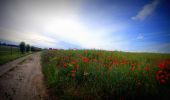 Tour Mountainbike Charleroi - VTT DES 2 ABBAYES - Photo 4