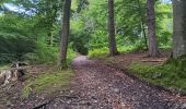 Trail Walking Esneux - mon E d'Esneux - Photo 5