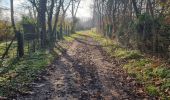 Trail Walking Lisle - Lisle - Bord du Loir - Photo 10