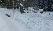 Trail Snowshoes Gérardmer - Gerardmer #3 raquettes - Photo 6