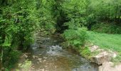 Tocht Stappen Bozouls - Le tour du trou de Bizoul - Photo 8