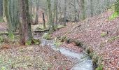 Tour Wandern Habich - La Fagne des Potis - Photo 9