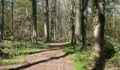 Randonnée Marche Anderlues - BE-Anderlues - Le Bois du Baron - Tour des Etangs - Photo 17