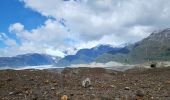 Tocht Stappen Chile Chico - Glaciar Exploradores - Photo 13