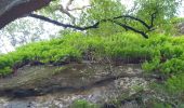 Tour Wandern Cheval-Blanc - Regalon-Canebier-RoqueRousse-Majorque - Photo 4
