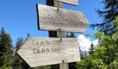Tour Wandern Thiéry - Le Brec d'Ilonse depuis Thiery - Photo 17