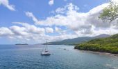 Tour Wandern Bouillante - 🦎 Guadeloupe - Morne Lézard 🦎 - Photo 8