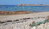 Tour Wandern Plougrescant - Le gouffre, la pointe du château à Plougrescant - Photo 10