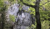 Randonnée Marche Bugarach - Bugarach - Fontaine salée (La Salz) - Photo 1