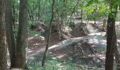 Percorso Marcia Amay - bois Amay Colruyt  - Photo 1
