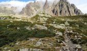 Tocht Stappen Chamonix-Mont-Blanc - Lac Blanc par les échelles  et lac de la Persévérance - Photo 7