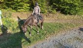 Trail Horseback riding Florenville - Les Epioux - Photo 7