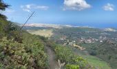 Randonnée Marche Santa Brígida - Cratère de Bandama (Gran Canaria) - Photo 9