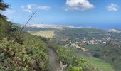 Tocht Stappen Santa Brígida - Cratère de Bandama (Gran Canaria) - Photo 9