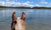 Trail Horseback riding Menétrux-en-Joux - suuntoapp-HorsebackRiding-2024-05-19T07-42-52Z - Photo 1