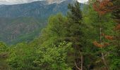 Tour Wandern Mantet - MENTET à PY par le col de la llause - Photo 2