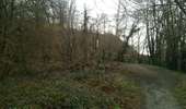 Randonnée Marche Viroflay - La grande traversée des forêts des Hauts de Seine - Photo 4