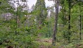 Tocht Stappen Seraing - ptit tour par les ptits chmins du bois de sraing - Photo 5