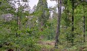 Percorso Marcia Seraing - ptit tour par les ptits chmins du bois de sraing - Photo 5