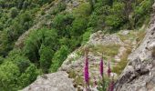 Tour Wandern Vallées-d'Antraigues-Asperjoc - Entraigues  - Photo 1