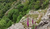 Trail Walking Vallées-d'Antraigues-Asperjoc - Entraigues  - Photo 1