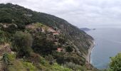Excursión A pie La Spezia - Pegazzano – Biassa – S.Antonio – Schiara - Photo 2