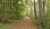 Randonnée Marche Viroinval - De Nismes à Petigny par le Tienne du Lion - Photo 4