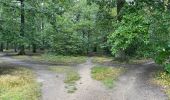 Randonnée Marche Meudon - la Forêt Domaniale de Meudon (2) - Photo 2