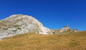 Tour Wandern Saint-Agnan-en-Vercors - Pas des chatons  depuis la coche - Photo 1