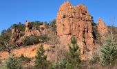 Excursión Senderismo Saint-Raphaël - Pic de l'ours, la Cadière, l'écureuil depuis Belle Barbe  - Photo 15