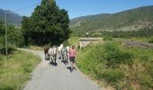 Trail Donkey back riding Tuchan - cathare 3 Tuchan Duilhac sous peyrepertuse  - Photo 16