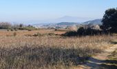Trail Walking Lirac - Le Tanargue - Photo 2