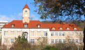 Excursión A pie Kulmbach - Frühlingshöhen-Weg KU 41 - Photo 8