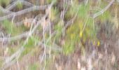 Trail Walking Saint-Cannat - l étape. cricri.... - Photo 4