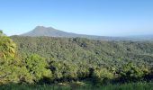 Tour Wandern Le Lorrain - Boucle Morne Jacob - Photo 8