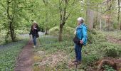 Trail Walking Thuin - Thuin clés de St Pierre - Photo 1