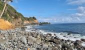 Tour Wandern Le Lorrain - Boucle Dorival, Crabière, Bon Repos, Man Ti-Fre, Savon - Photo 8