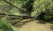 Tour Wandern Huldenberg - Huldenberg Terlanen site naturel Lasne - Photo 13