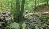 Trail Walking Spa - GrWandArdRiv 12: Spa de Barisart en Geronstère bronnen (PVDB) - Photo 16