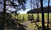Randonnée Marche Stavelot - Coo Promenade des merles - Photo 10