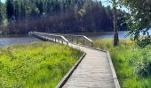 Trail Walking Royère-de-Vassivière - Masgrangeas-Broussas - Photo 2