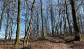 Tour Wandern Rendeux - Hodister  - Photo 1