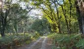 Tocht Hybride fiets Vendays-Montalivet - Vendays - Larnac - Queyrac - Photo 6