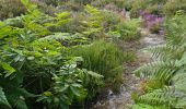 Tour Wandern Milly-la-Forêt - Milly-la-Forêt - Forêt domaniale des Trois pignons - Curiosités  - Photo 6