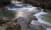 Tocht Stappen Sillans-la-Cascade - Sillans-la-cascade - Photo 2