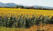 Tour Wandern Montélimar - Gournier-Châteauneuf 10km - Photo 2