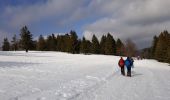 Randonnée Raquettes à neige Lepuix - Ballon d'Alsace - Photo 6